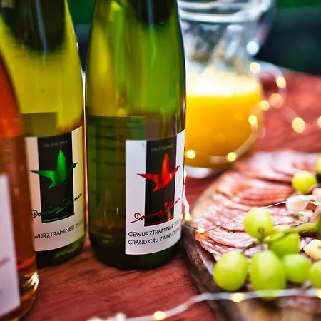 Domaine De La Tourelle - Vineyard, Alsace *