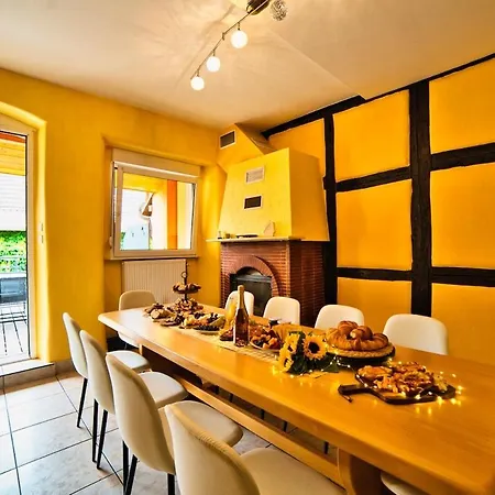 Domaine De La Tourelle - Vineyard, Alsace * Soultzmatt