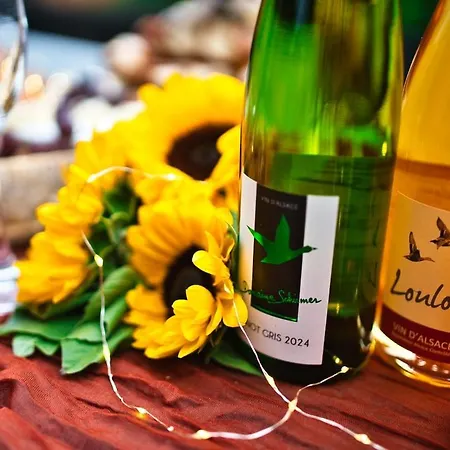 Domaine De La Tourelle - Vineyard, Alsace Apartmán Soultzmatt