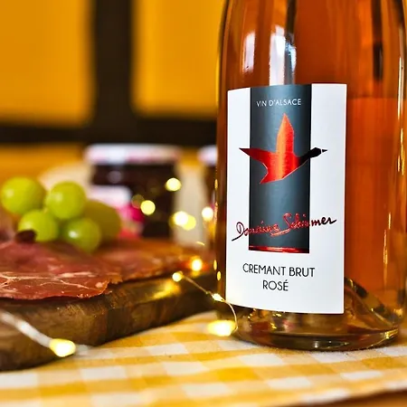 Domaine De La Tourelle - Vineyard, Alsace * Soultzmatt