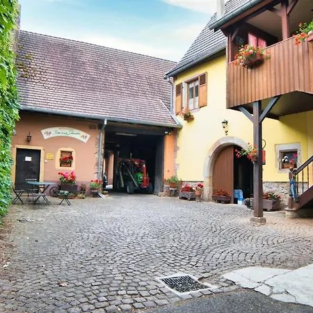 Domaine De La Tourelle - Vineyard, Alsace Apartmán