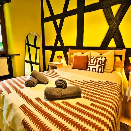 Domaine De La Tourelle - Vineyard, Alsace *