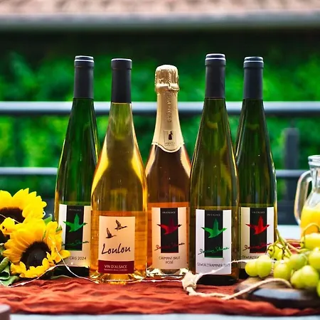 Domaine De La Tourelle - Vineyard, Alsace Apartmán