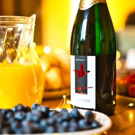 Domaine De La Tourelle - Vineyard, Alsace Apartmán Soultzmatt