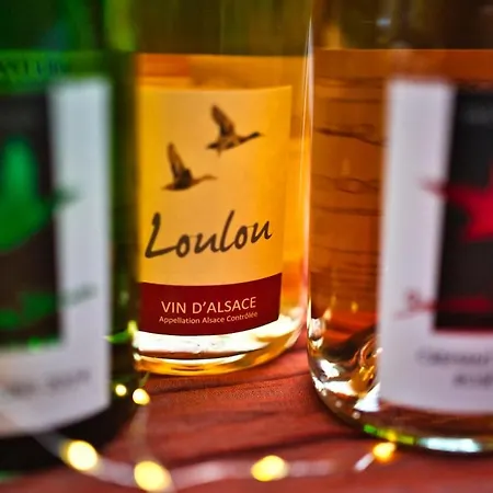 Domaine De La Tourelle - Vineyard, Alsace Apartmán