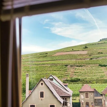 Domaine De La Tourelle - Vineyard, Alsace
