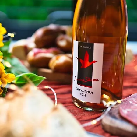 Domaine De La Tourelle - Vineyard, Alsace * Soultzmatt