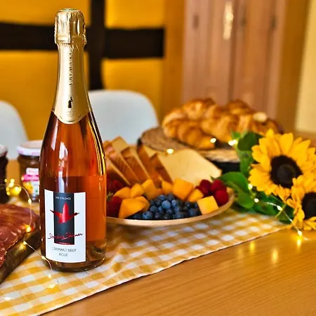 Domaine De La Tourelle - Vineyard, Alsace *