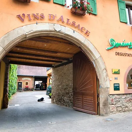 Domaine De La Tourelle - Vineyard, Alsace *