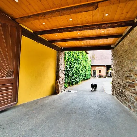 Domaine De La Tourelle - Vineyard, Alsace