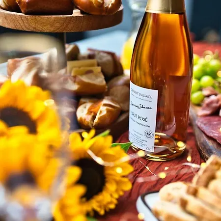 Domaine De La Tourelle - Vineyard, Alsace