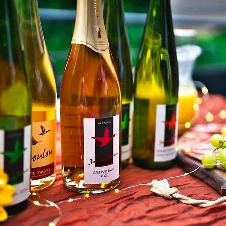 Domaine De La Tourelle - Vineyard, Alsace Soultzmatt